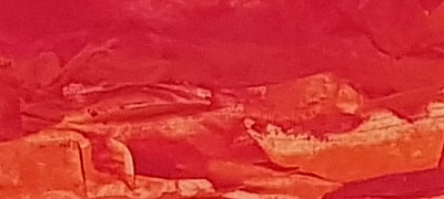 Supervisor*innenkurs